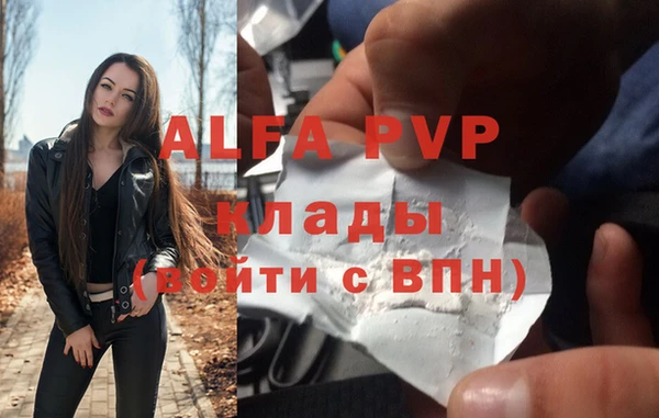 стаф Заволжск