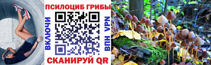 Псилоцибиновые грибы мицелий  Купить где  Зерноград 