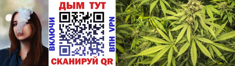Каннабис планчик  Купить где  Зерноград 